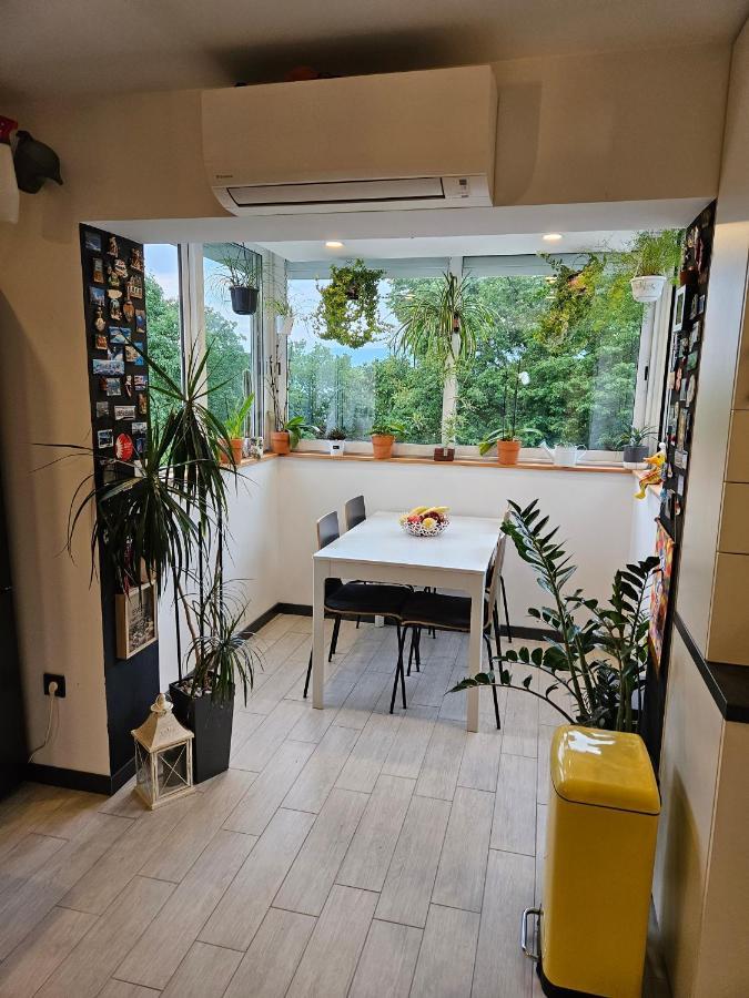 Apartman Carnevalus Rijeka Exteriör bild